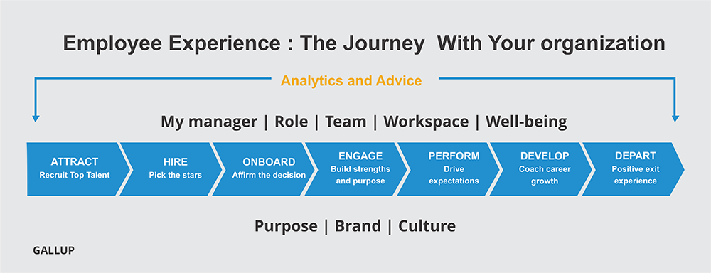employee experience analysis